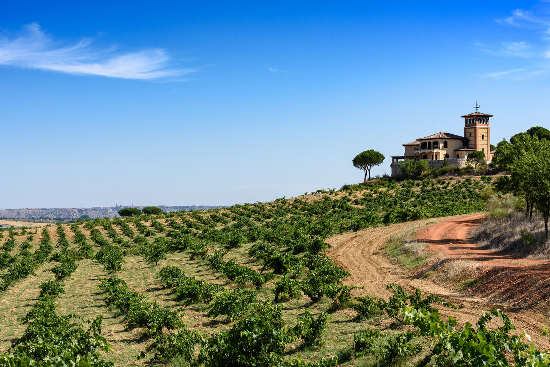 Bodegas Piedra