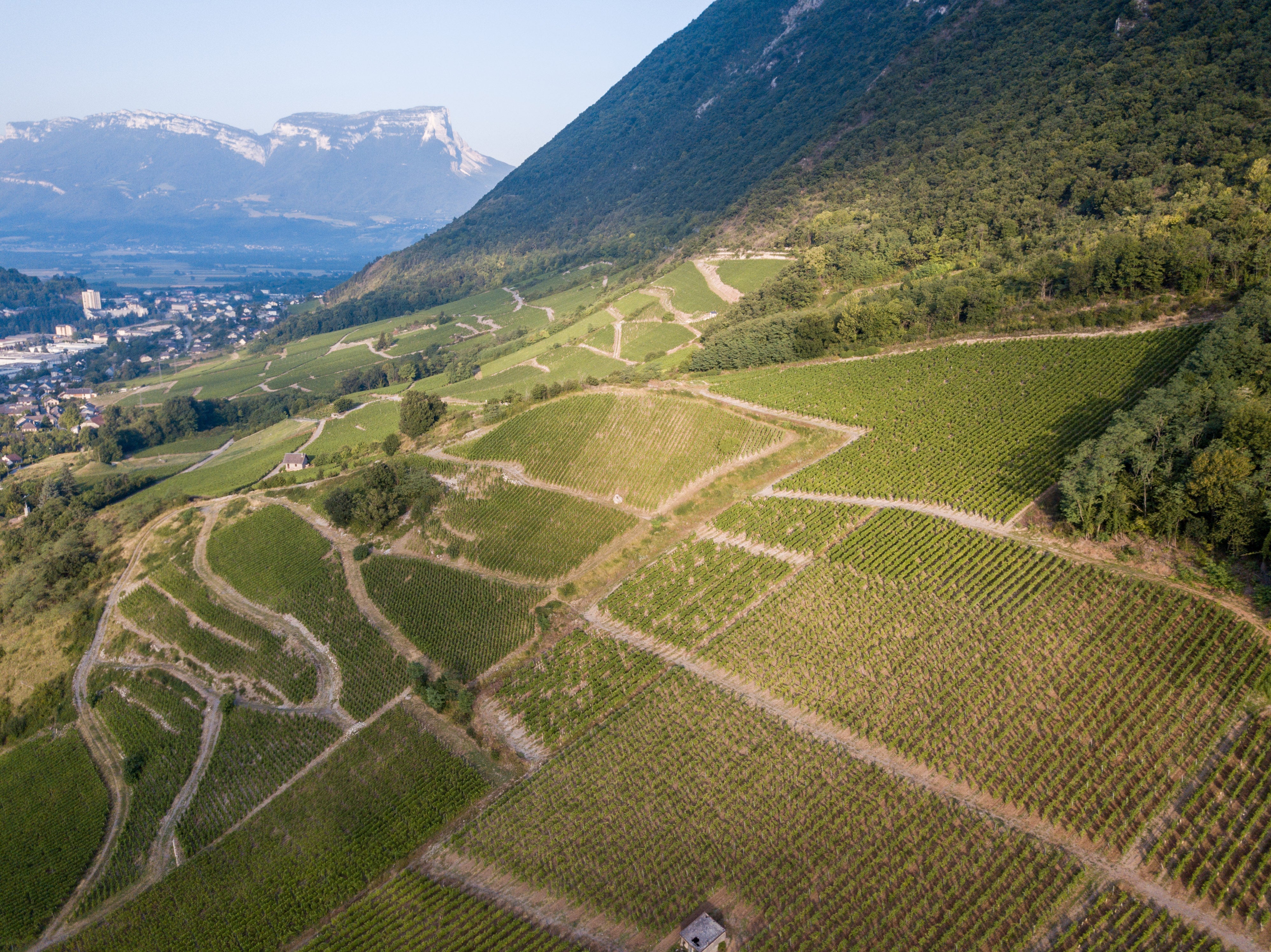 Château de Mérande – Domaine Genoux, Biodynamic Wines from Savoie