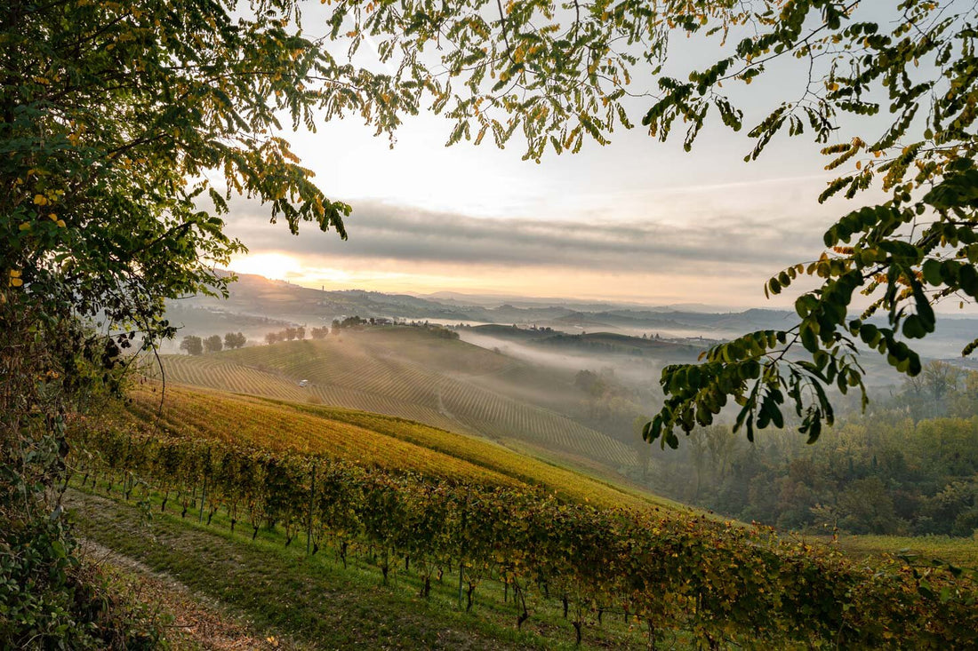 Piedmont