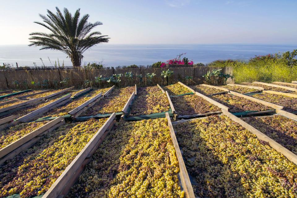 Sicily