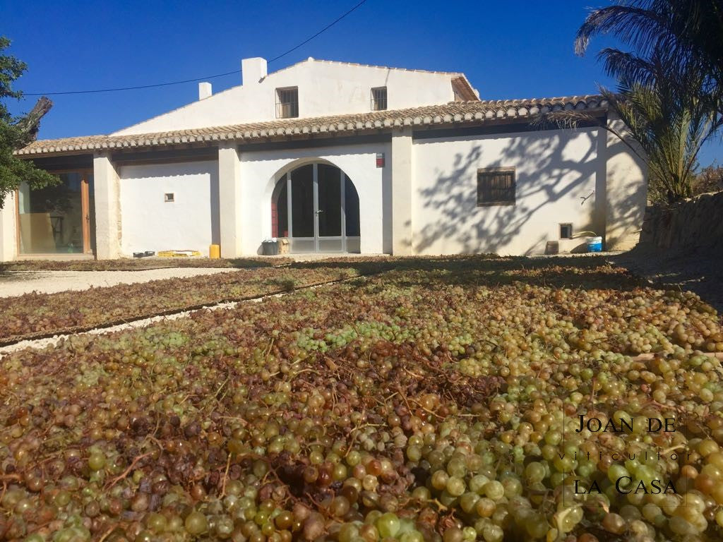 Joan de la Casa