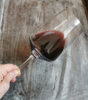 Aquila del Torre - Refosco dal peduncolo rosso 2018 Bio, DOC Friaul Colli Orientali