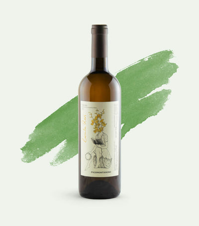 Ficomontanino - Zacinta Revi Bianco IGT 2022, Toscana