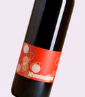 Laurent Herlin - Illuminations 2018 Bio, Loire, Bourgueil