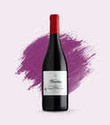 Ramón Sáenz - Cimadago 2017 Bio, Rioja, Spanien, online bestellen, schnelle lieferung