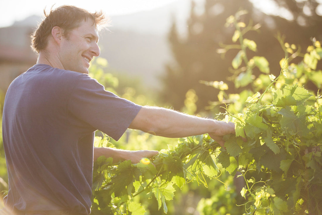 Domaine La Monardière