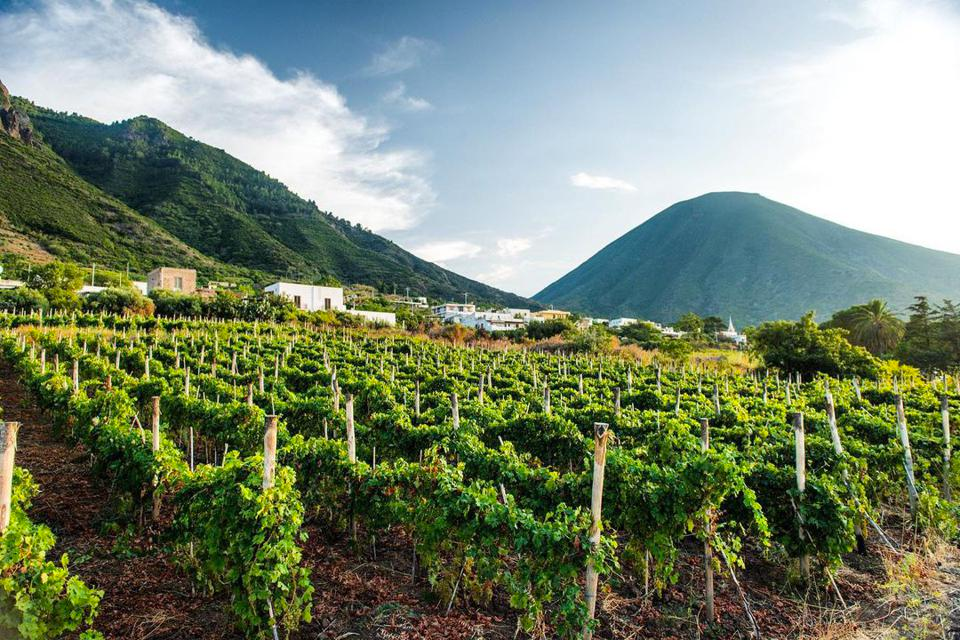 Azienda Agricola Ancestrale