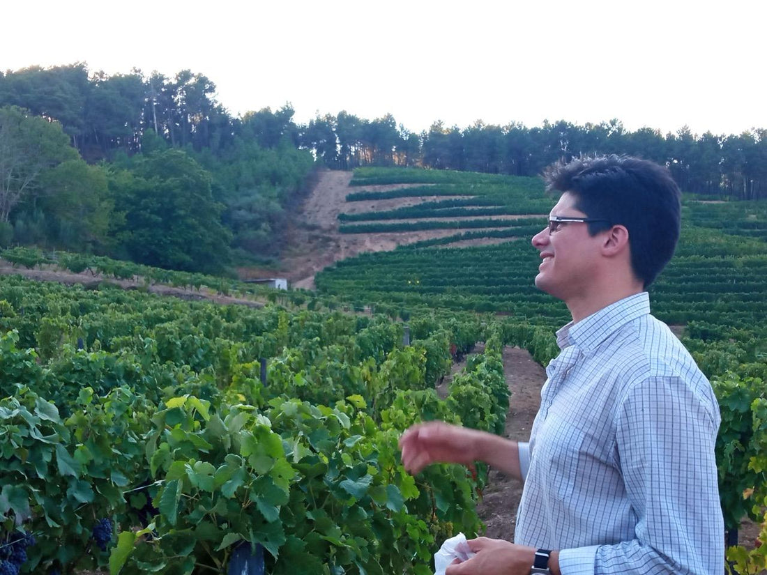 Indício Wines - Douro - Portugal