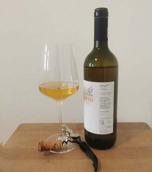 Italien-Cataratto-bester-Alcamo-Wein-Naturwein-Sizilien-Weisswein