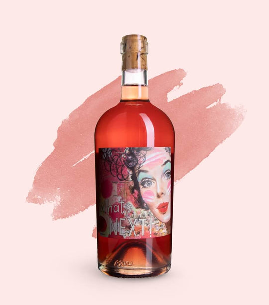 BioDyn Weinhof Haider - 2024 Rosé What's Next Demeter Bio 0,75l