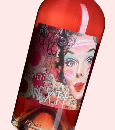 BioDyn Weinhof Haider - 2024 Rose Whats Next Demeter Bio 0,75l